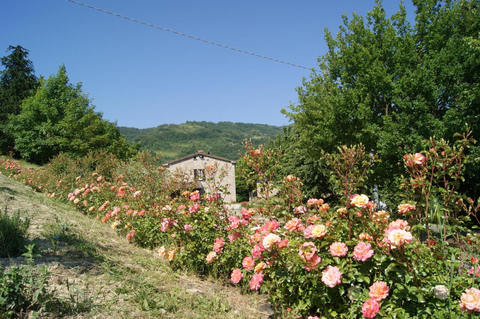 Agriturismo Corte Dei Mori 브리시그헬라 외부 사진